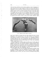 giornale/PUV0114683/1932/unico/00000298