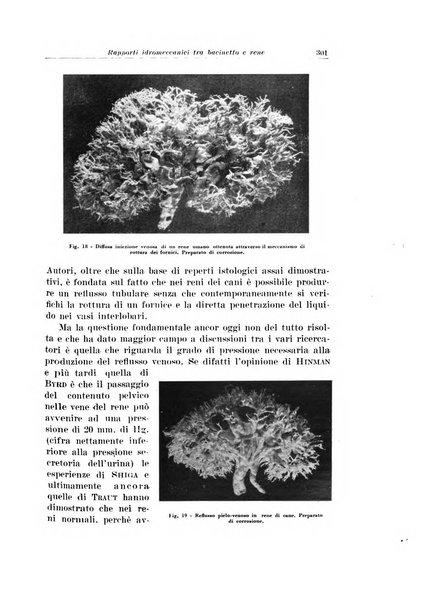 Archivio italiano di urologia