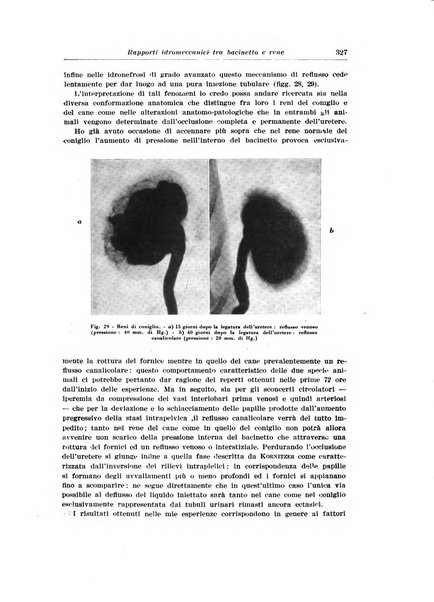 Archivio italiano di urologia