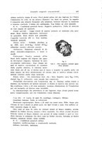 giornale/PUV0114683/1932/unico/00000405