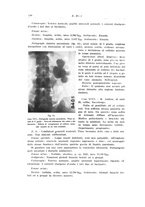 giornale/PUV0114683/1932/unico/00000448