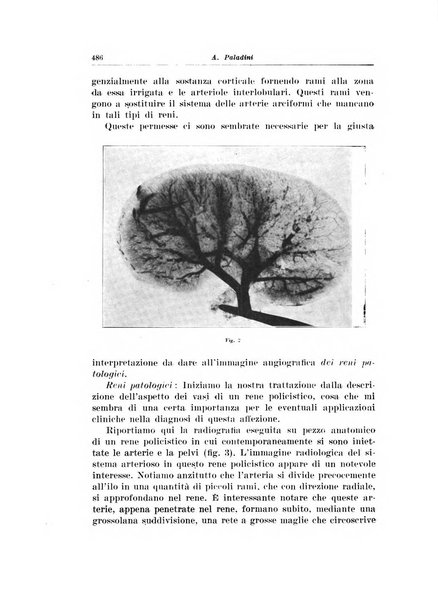 Archivio italiano di urologia