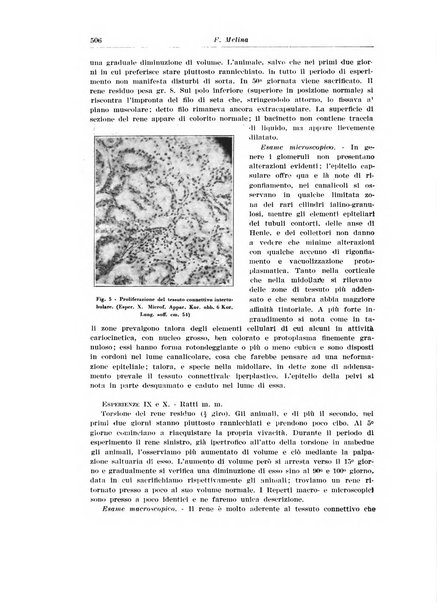 Archivio italiano di urologia