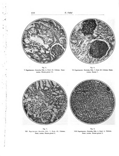 Archivio italiano di urologia