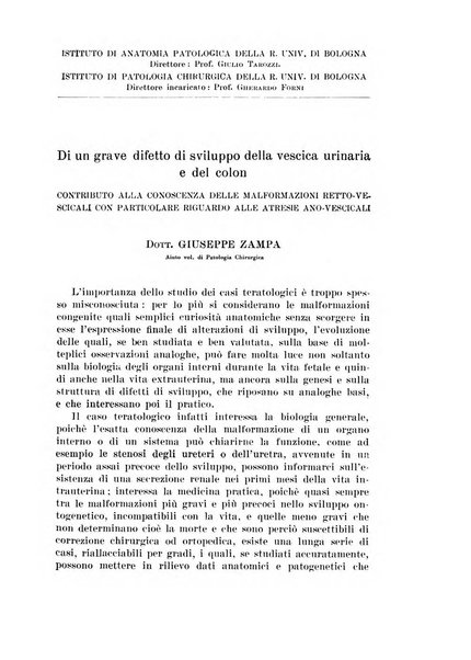 Archivio italiano di urologia