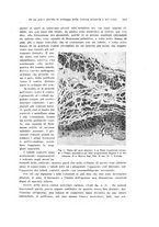 giornale/PUV0114683/1932/unico/00000669