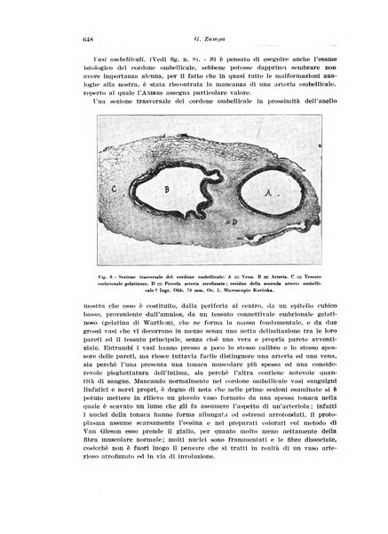 Archivio italiano di urologia