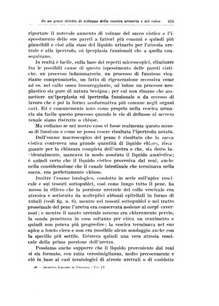 Archivio italiano di urologia