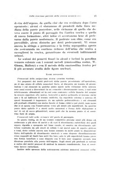 Archivio italiano di urologia