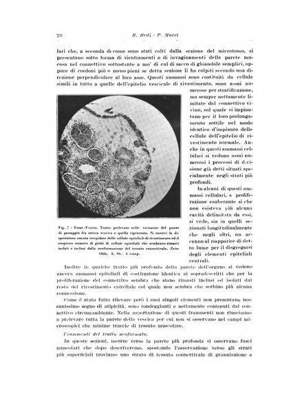 Archivio italiano di urologia