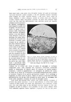 giornale/PUV0114683/1933/unico/00000033