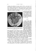 giornale/PUV0114683/1933/unico/00000034