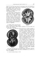 giornale/PUV0114683/1933/unico/00000295