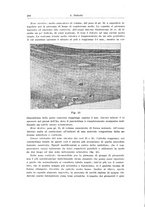 giornale/PUV0114683/1933/unico/00000302