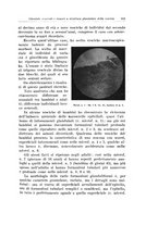 giornale/PUV0114683/1933/unico/00000331