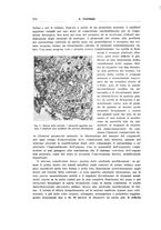 giornale/PUV0114683/1933/unico/00000396