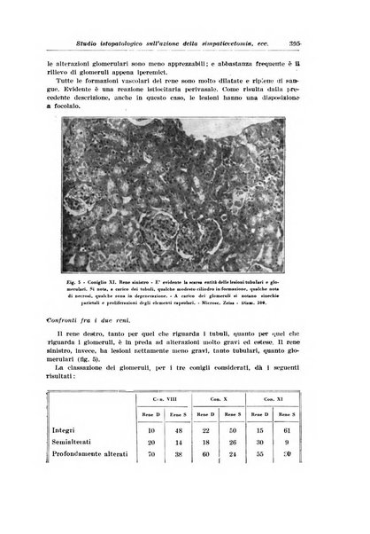 Archivio italiano di urologia