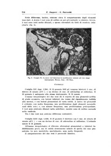 Archivio italiano di urologia