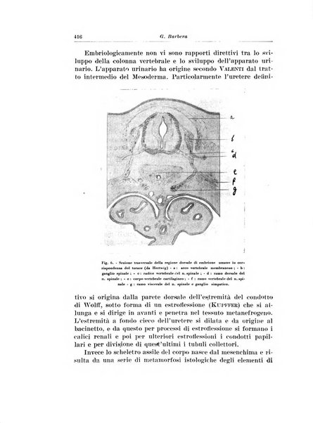 Archivio italiano di urologia