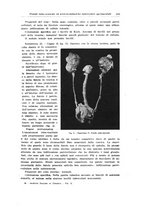 giornale/PUV0114683/1933/unico/00000515