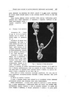 giornale/PUV0114683/1933/unico/00000517