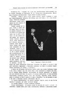 giornale/PUV0114683/1933/unico/00000519