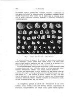 giornale/PUV0114683/1933/unico/00000528