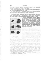 giornale/PUV0114683/1933/unico/00000558