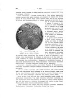 giornale/PUV0114683/1933/unico/00000630