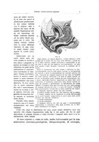 giornale/PUV0114683/1934/unico/00000013