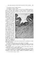 giornale/PUV0114683/1934/unico/00000205