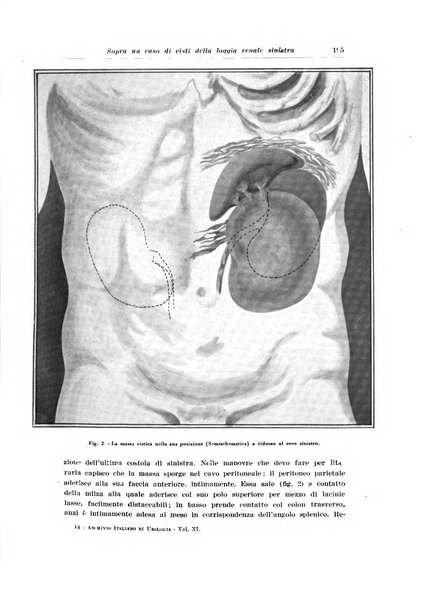 Archivio italiano di urologia