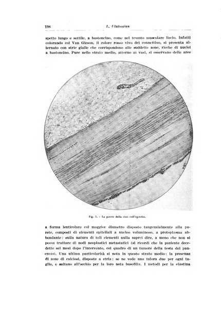 Archivio italiano di urologia