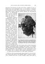 giornale/PUV0114683/1934/unico/00000231