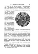 giornale/PUV0114683/1934/unico/00000257
