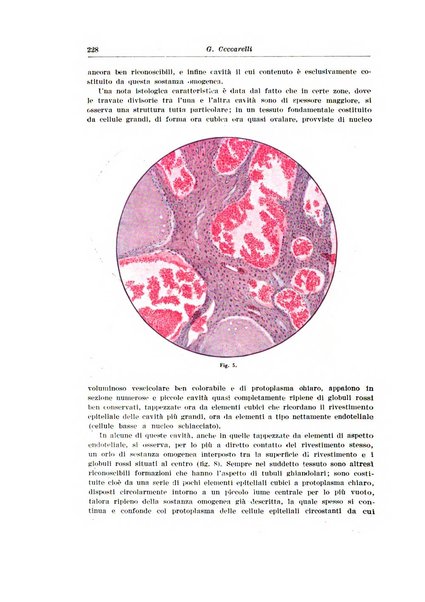 Archivio italiano di urologia