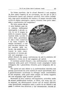 giornale/PUV0114683/1934/unico/00000261