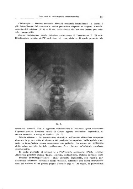 Archivio italiano di urologia