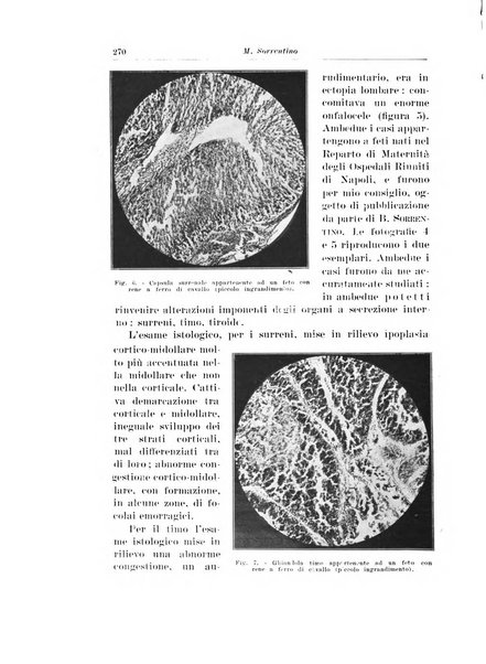 Archivio italiano di urologia