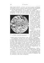 giornale/PUV0114683/1934/unico/00000302