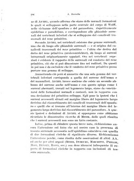 Archivio italiano di urologia