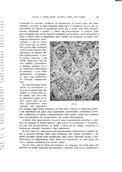 Archivio italiano di urologia