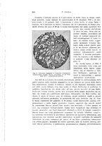 giornale/PUV0114683/1935/unico/00000212
