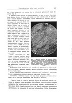 giornale/PUV0114683/1935/unico/00000213