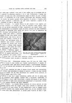 giornale/PUV0114683/1935/unico/00000457