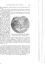 giornale/PUV0114683/1935/unico/00000481
