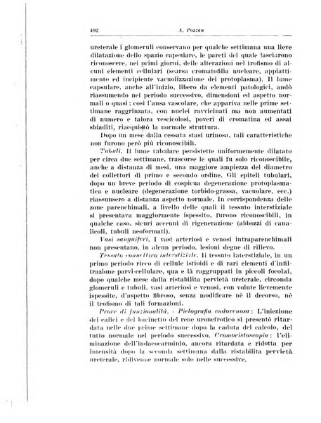 Archivio italiano di urologia