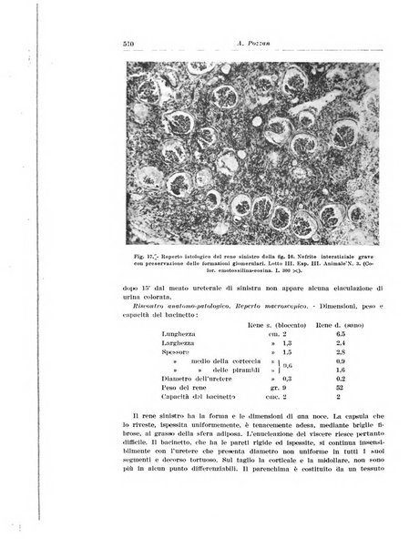 Archivio italiano di urologia