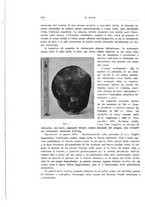 giornale/PUV0114683/1935/unico/00000572