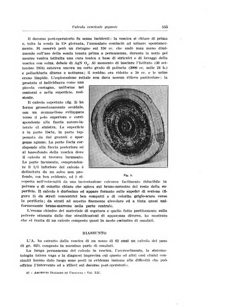 Archivio italiano di urologia